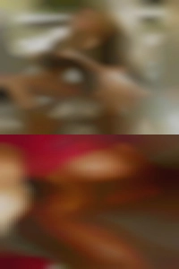 Wolfmcmlxxx, motel