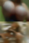 Girls Buffalo pussy