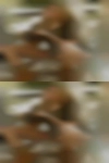 Nude woman from Barstow