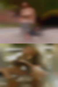 Pdv95, women seeking